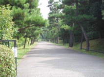 http://blog.cnobi.jp/v1/blog/user/53fcee40803de136cae09155c36f843b/1285095866