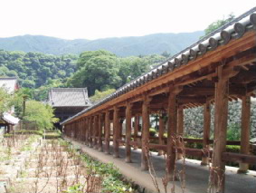 http://blog.cnobi.jp/v1/blog/user/53fcee40803de136cae09155c36f843b/1286268636