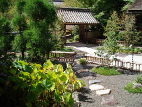 http://blog.cnobi.jp/v1/blog/user/53fcee40803de136cae09155c36f843b/1286268683
