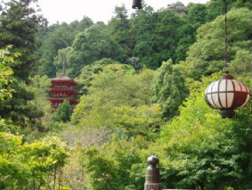 http://blog.cnobi.jp/v1/blog/user/53fcee40803de136cae09155c36f843b/1286268855