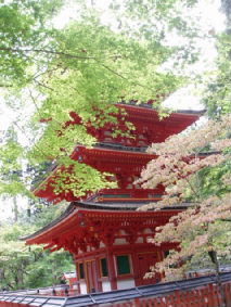 http://blog.cnobi.jp/v1/blog/user/53fcee40803de136cae09155c36f843b/1286268858