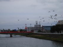http://blog.cnobi.jp/v1/blog/user/53fcee40803de136cae09155c36f843b/1287936202