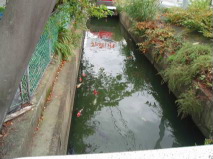 http://blog.cnobi.jp/v1/blog/user/53fcee40803de136cae09155c36f843b/1287936337