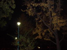 http://blog.cnobi.jp/v1/blog/user/53fcee40803de136cae09155c36f843b/1291274955