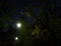 http://blog.cnobi.jp/v1/blog/user/53fcee40803de136cae09155c36f843b/1291274956
