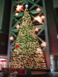 http://blog.cnobi.jp/v1/blog/user/53fcee40803de136cae09155c36f843b/1292235408