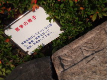 http://blog.cnobi.jp/v1/blog/user/53fcee40803de136cae09155c36f843b/1293546113