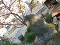 http://blog.cnobi.jp/v1/blog/user/53fcee40803de136cae09155c36f843b/1293546152