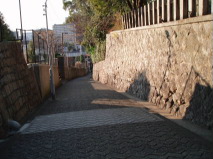 http://blog.cnobi.jp/v1/blog/user/53fcee40803de136cae09155c36f843b/1293546194