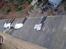 http://blog.cnobi.jp/v1/blog/user/53fcee40803de136cae09155c36f843b/1294223633