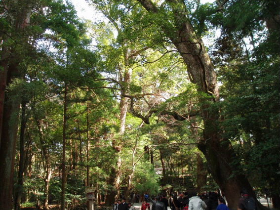 http://blog.cnobi.jp/v1/blog/user/53fcee40803de136cae09155c36f843b/1296563368