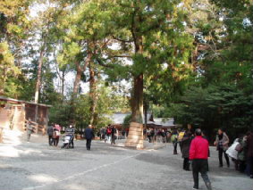 http://blog.cnobi.jp/v1/blog/user/53fcee40803de136cae09155c36f843b/1296563419
