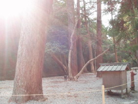 http://blog.cnobi.jp/v1/blog/user/53fcee40803de136cae09155c36f843b/1296563475