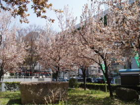 http://blog.cnobi.jp/v1/blog/user/53fcee40803de136cae09155c36f843b/1301928706