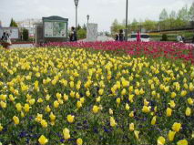 http://blog.cnobi.jp/v1/blog/user/53fcee40803de136cae09155c36f843b/1307981848