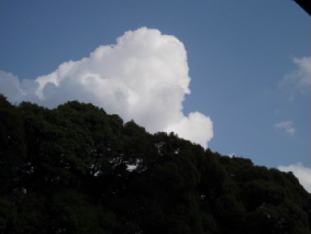 http://blog.cnobi.jp/v1/blog/user/53fcee40803de136cae09155c36f843b/1315062151
