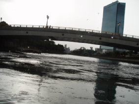http://blog.cnobi.jp/v1/blog/user/53fcee40803de136cae09155c36f843b/1315062527