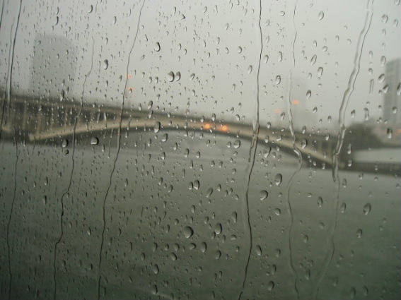 http://blog.cnobi.jp/v1/blog/user/53fcee40803de136cae09155c36f843b/1315063031
