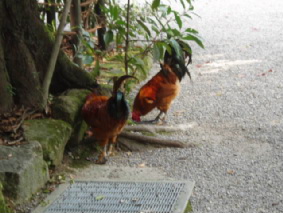 http://blog.cnobi.jp/v1/blog/user/53fcee40803de136cae09155c36f843b/1317034427
