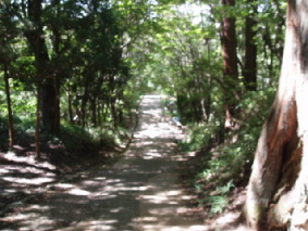 http://blog.cnobi.jp/v1/blog/user/53fcee40803de136cae09155c36f843b/1317034879