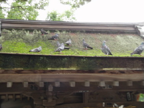http://blog.cnobi.jp/v1/blog/user/53fcee40803de136cae09155c36f843b/1317036753