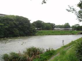 http://blog.cnobi.jp/v1/blog/user/53fcee40803de136cae09155c36f843b/1317036923
