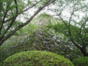 http://blog.cnobi.jp/v1/blog/user/53fcee40803de136cae09155c36f843b/1317036925