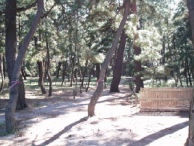 http://blog.cnobi.jp/v1/blog/user/53fcee40803de136cae09155c36f843b/1317221528