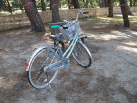 http://blog.cnobi.jp/v1/blog/user/53fcee40803de136cae09155c36f843b/1317221529