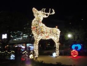 http://blog.cnobi.jp/v1/blog/user/53fcee40803de136cae09155c36f843b/1324910259