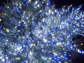 http://blog.cnobi.jp/v1/blog/user/53fcee40803de136cae09155c36f843b/1324910294