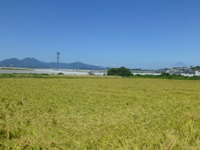 日本平久能山スマートインターチェンジ南側