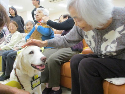 一芸を披露する犬2