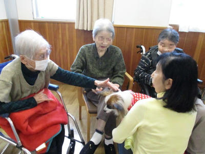 犬が挨拶にまわる