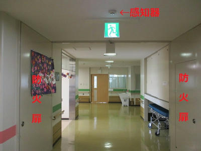 廊下の途中なのに緑の誘導灯がある理由