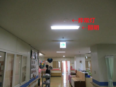 ２Fエレベーターホール前廊下の照明（改修後）