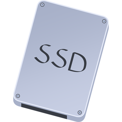 「SSD（2）」（ねこ画伯コハクちゃん）