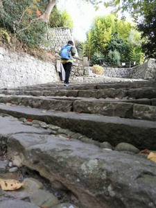 久能山東照宮表参道登り始め