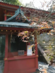久能山東照宮の竈神社