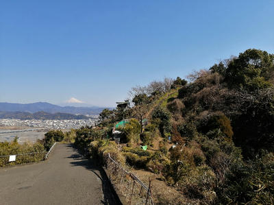 円山花木園全体