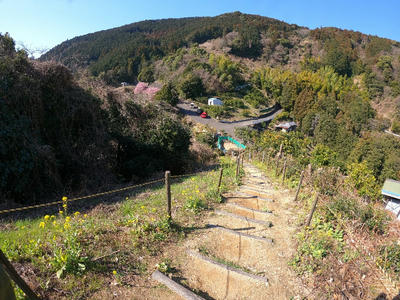 円山花木園階段