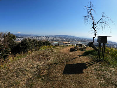 円山花木園山頂部