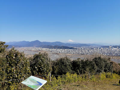 円山花木園　富士山が見える