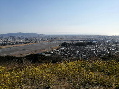 円山花木園　日本平、安倍川方面