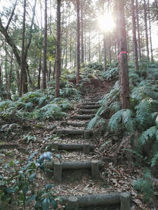 丸子城登山口