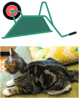 ねこ車と猫