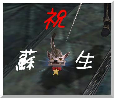 rhn48.jpg