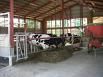 CIMG0076.JPG