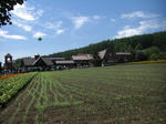 CIMG0081.JPG