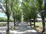 CIMG0084.JPG
